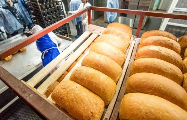 Bread stacked on the shelves at new bright factory