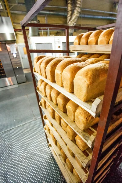 Freshly baked bread stacked and ready for packaging at factory