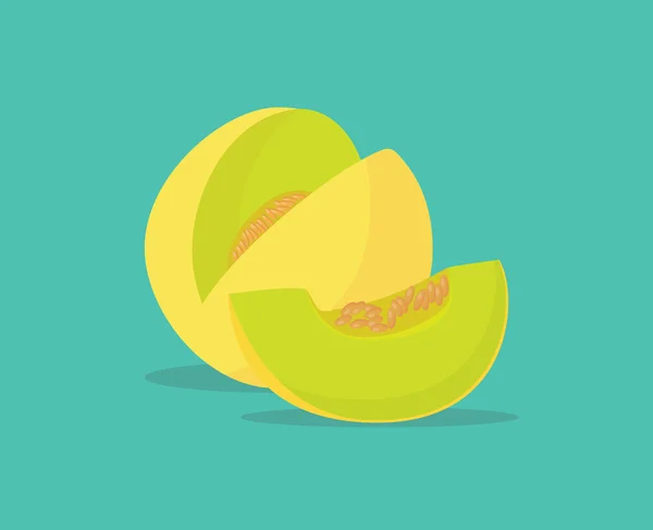 Melon single isolated object with vector graphic