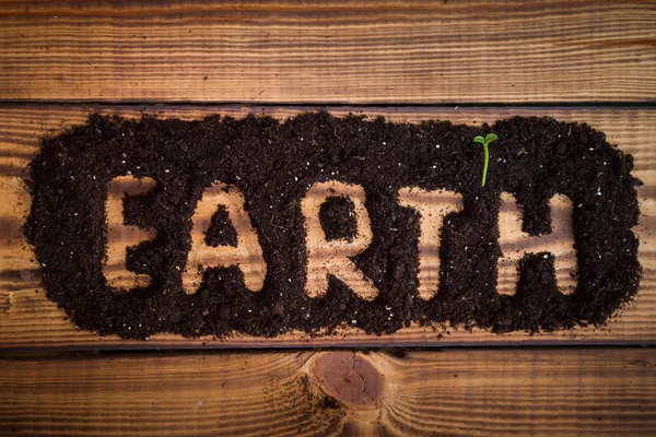 Word of the Earth on a wooden table laid out of the topsoil. A green sprout in the ground. Empty space. Earth Day.Background