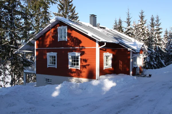 Wooden house in the forest in the winter sun