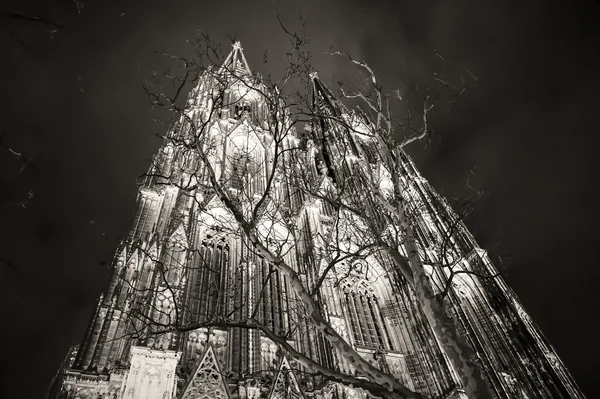 Cologne Cathedral night black and white