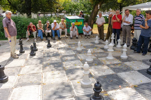 Men at outdoor giant chess game