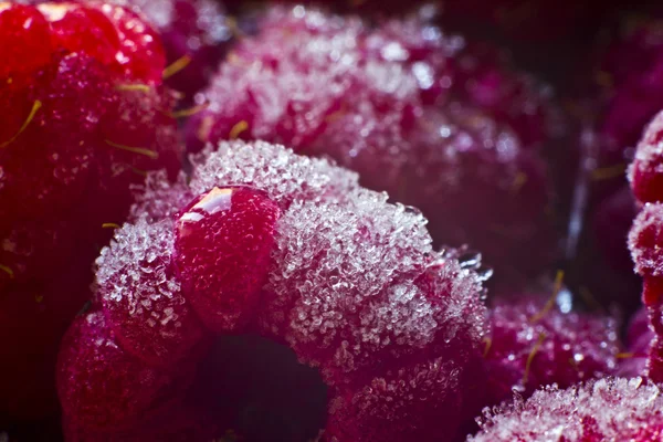 Macro juicy red raspberries under the ice