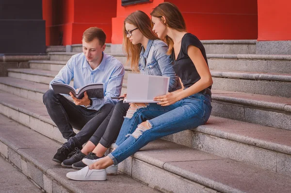 Happy students stand on a ladder and communicate