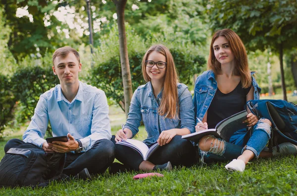 Happy students sit on the grass in the park study materials and