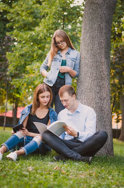 A group of students in the park sitting on the grass and communicate