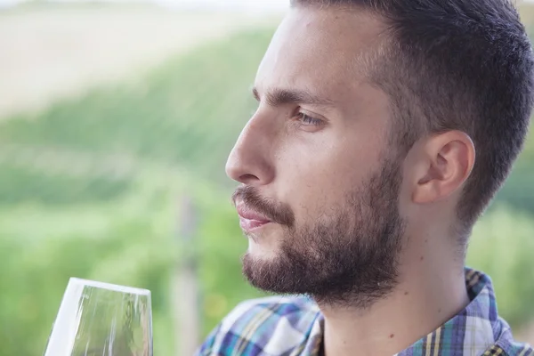 Handsome bearded man looking glass of wine before drinking