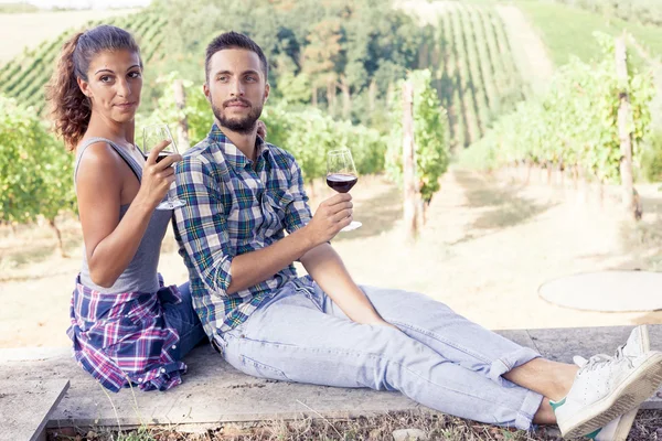 Young couple toasting in a vineyard at sunset