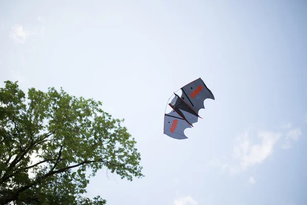Flying kite against of blue sky