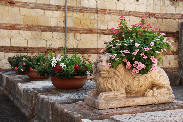 Flowers in pots near the stone sculpture of a lion