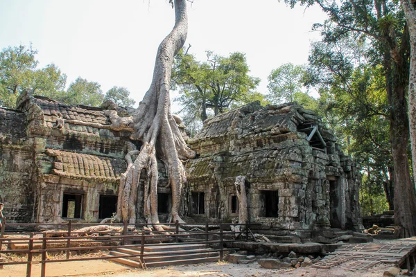 Landscape view of the temples at Angkor Wat, Siem Reap, Cambodia