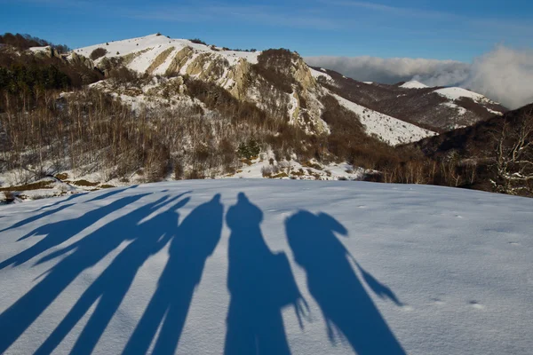 People shadows on the snow