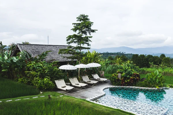 Pool with chaise-longues and umbrellas