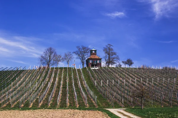 House on a hill surrounded by vineyards