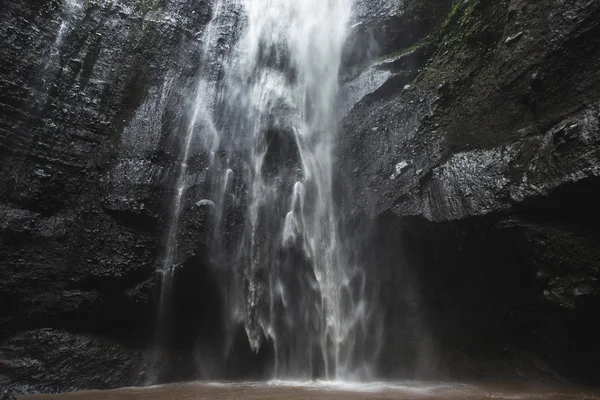 Madakaripura Waterfall in  Indonesia