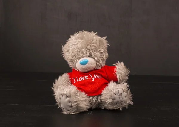 Big Bear soft toy isolated on black background