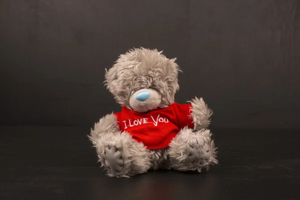 Big Bear soft toy isolated on black background