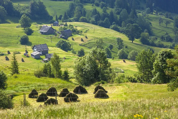 Village houses on hills with green meadows in summer day