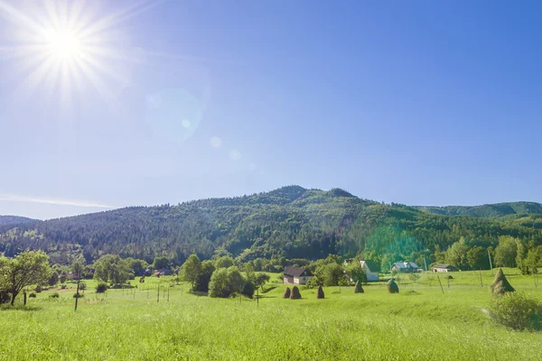 Village houses on hills with green meadows in summer day