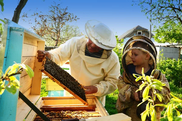Beekeeper grandfather and grandson examine a hive of bees