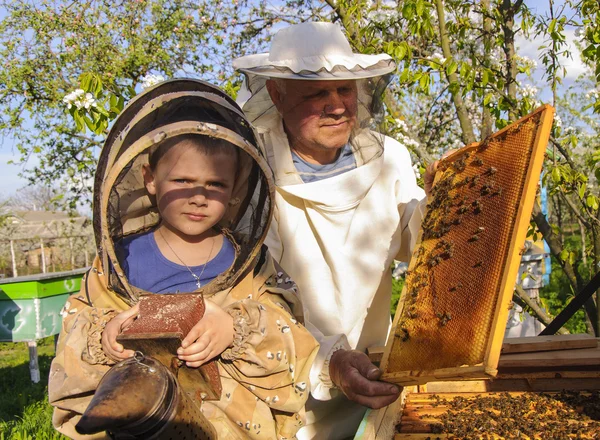 Beekeeper grandfather and grandson examine a hive of bees