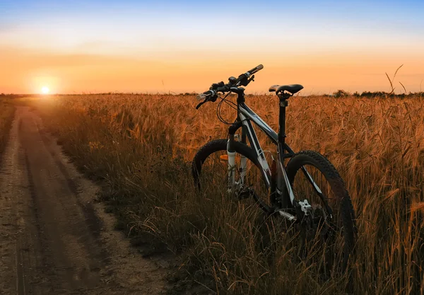 Mountain bike in field at sunset
