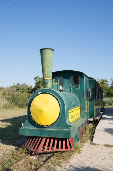 Little train by the Vaccares lake