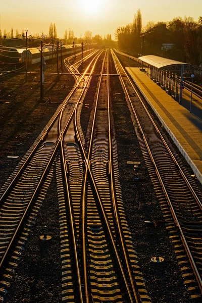 Railway Tracks at the train station at sunset.