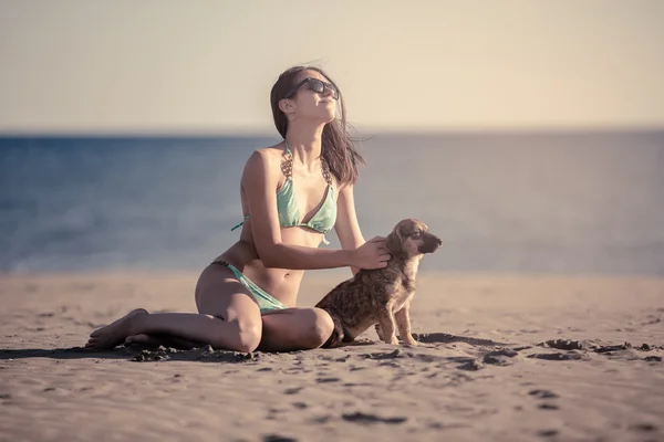 Young woman playing with dog pet on beach during sunrise or sunset.Girl and dog having fun on seaside.Cute neglected stray dog adopted by caring woman