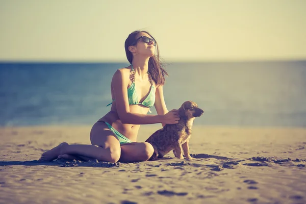 Young woman playing with dog pet on beach during sunrise or sunset.Girl and dog having fun on seaside