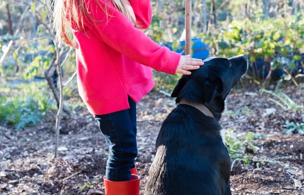 Little girl in red top patting black dog