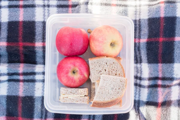 Apple and sandwich in lunch box on picnic rug from above