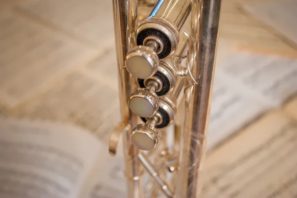 Trumpet valves close-up view