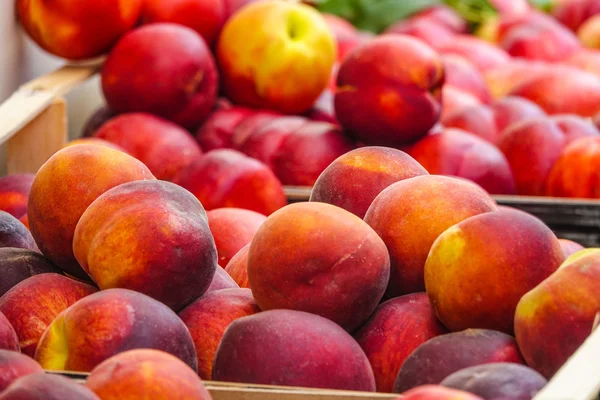 Fresh peaches on a fruit market - Peach sale