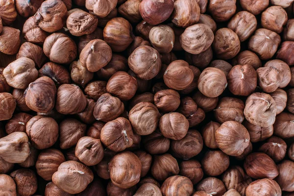 Many dried uncooked hazelnuts
