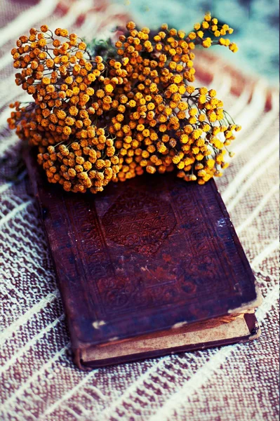 Vintage books with bouquet of flowers nostalgic vintage background.Flowers on the book. Old books with romantic yellow flowers on dark background and copy space, vintage editing.