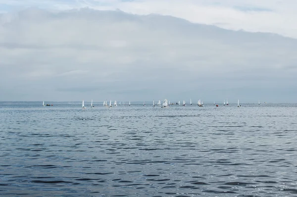 Colorful sailing boats on the sea. Panoramic view. Sailing boat yacht or sailboat group regatta race on sea or ocean water. Panoramic view. Sailing ship yachts with white sails in the open sea.
