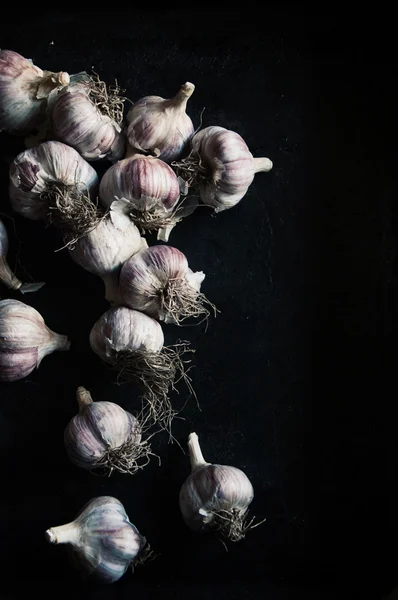 fresh garlic bulbs on a black background. garlic on black backg