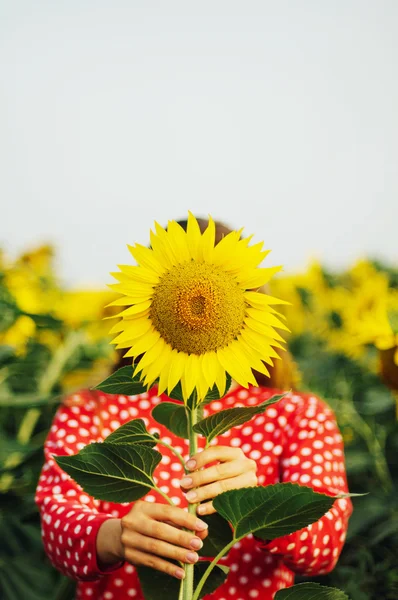 Sensual portrait of a girl in a sunflower field. Portrait of Woman in Sunflower Field.