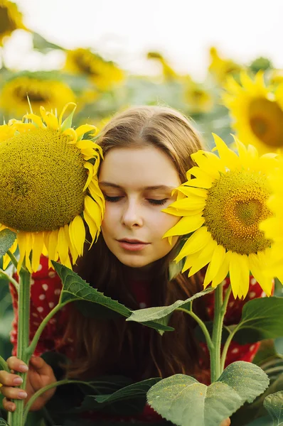 Sensual portrait of a girl in a sunflower field. Portrait of Woman in Sunflower Field.