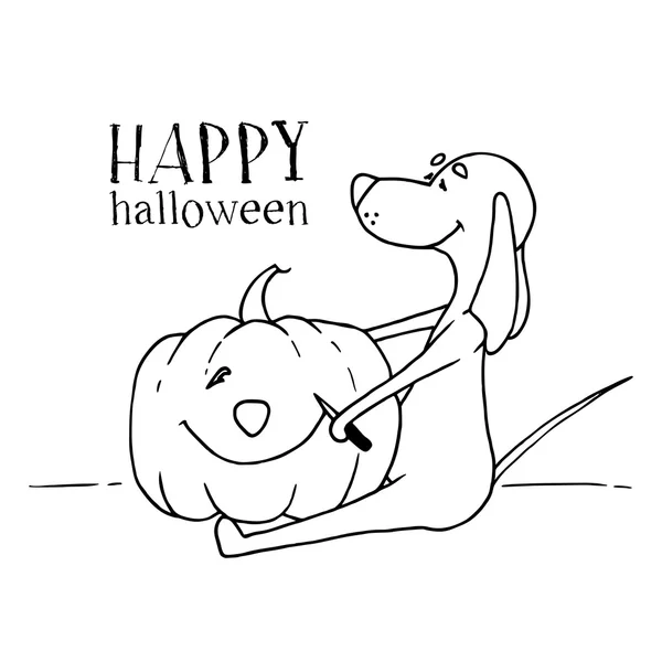 The ridiculous animation dog cuts out smile on pumpkin by holiday. Halloween. Congratulatory card