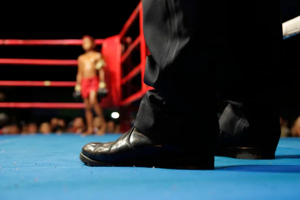 Junior kick boxer
