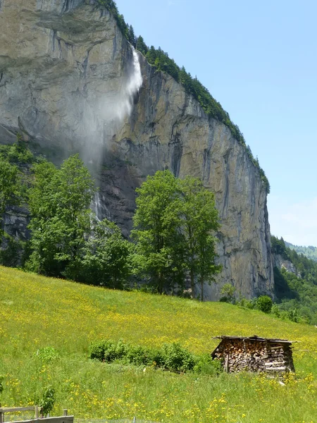 Waterfall and lush flower meadow in the Lauterbrunnen Valley, Switzerland in late Spring