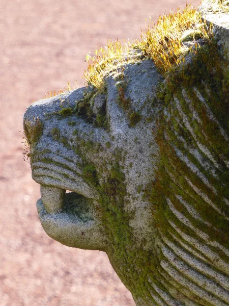 Ornamental stone lion\'s head covered in lichen