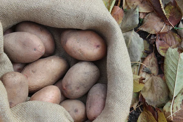 Potatoes in the bag
