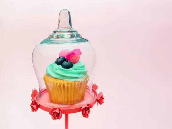 Cupcakes with butter cream and vanilla with blueberry with pink flowers  in glass cooking hood on pink background