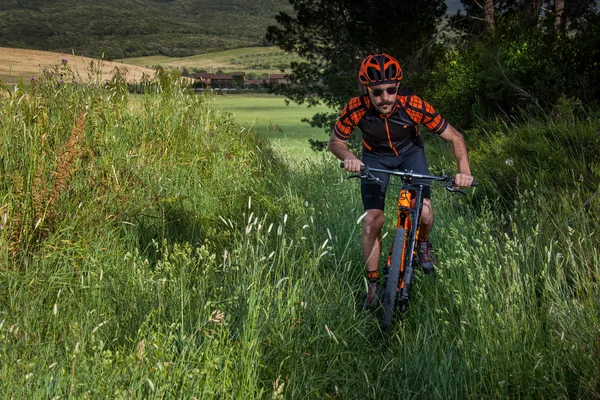 Bibbona, Tuscany, Italy - May 24, 2016: lifestyle Mountain bike