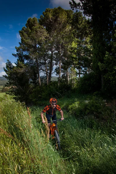 Bibbona, Tuscany, Italy - May 24, 2016: lifestyle Mountain bike