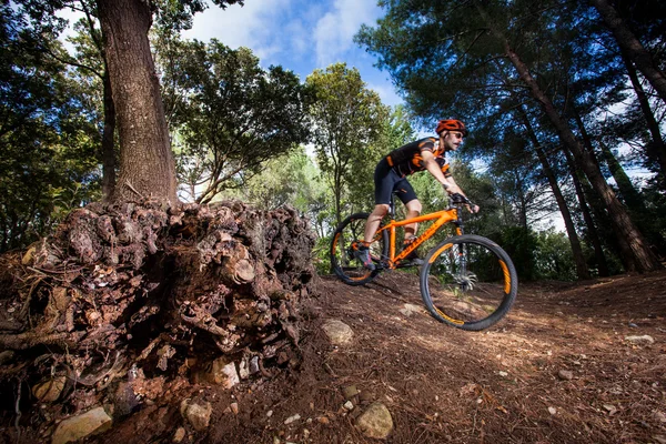 Bibbona, Tuscany, Italy - May 24, 2016: lifestyle Mountain bike